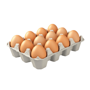 Egg Tray (30 Eggs)